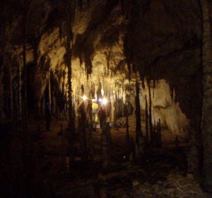 Cueva Cueto Coventosa Cueva Cueto Coventosa