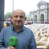 El Borrascas 21/20/2019
