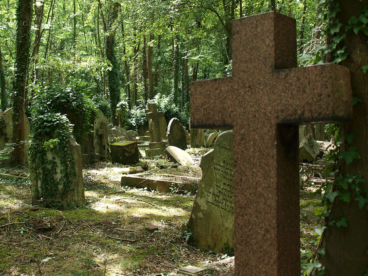 El Debate Zona Cero: ¿Existe vida después de la muerte? El Debate Zona Cero: ¿Existe vida después de la muerte?