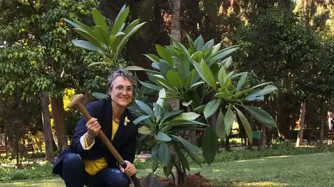 Concha Montes árbol Concha Montes árbol