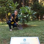 Concha Montes árbol