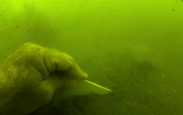 El Gobierno Regional lleva años retrasando la declaración del Mar Menor como masa afectada por la contaminación de nitratos El Gobierno Regional lleva años retrasando la declaración del Mar Menor como masa afectada por la contaminación de nitratos