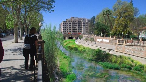 Los Ecologistas piden que se renaturalize