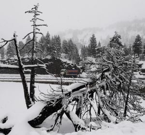 Primer temporal nieve en Navarra Primer temporal nieve en Navarra