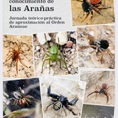 Arañas Arañas