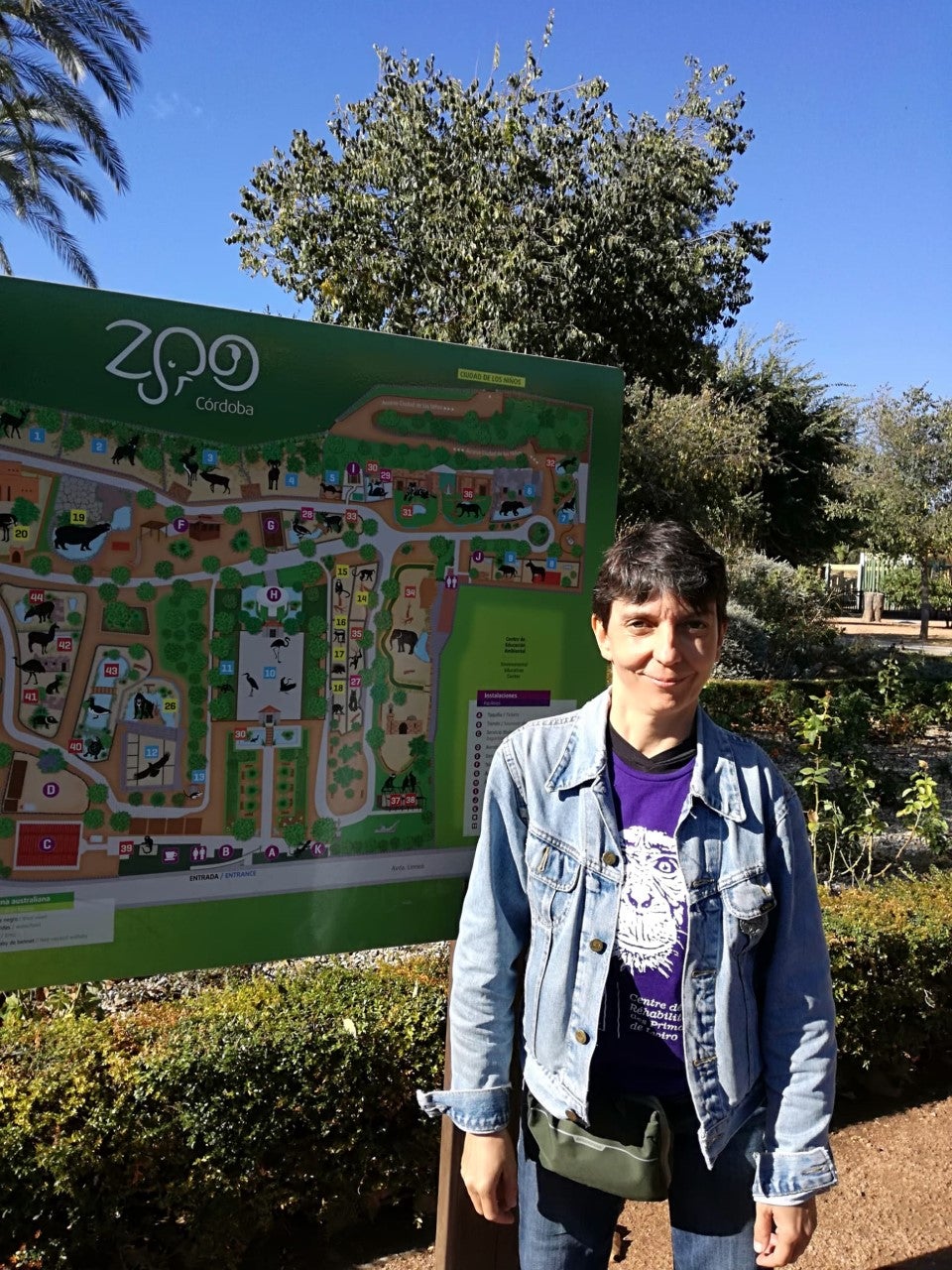 Los animales del zoo en invierno Los animales del zoo en invierno