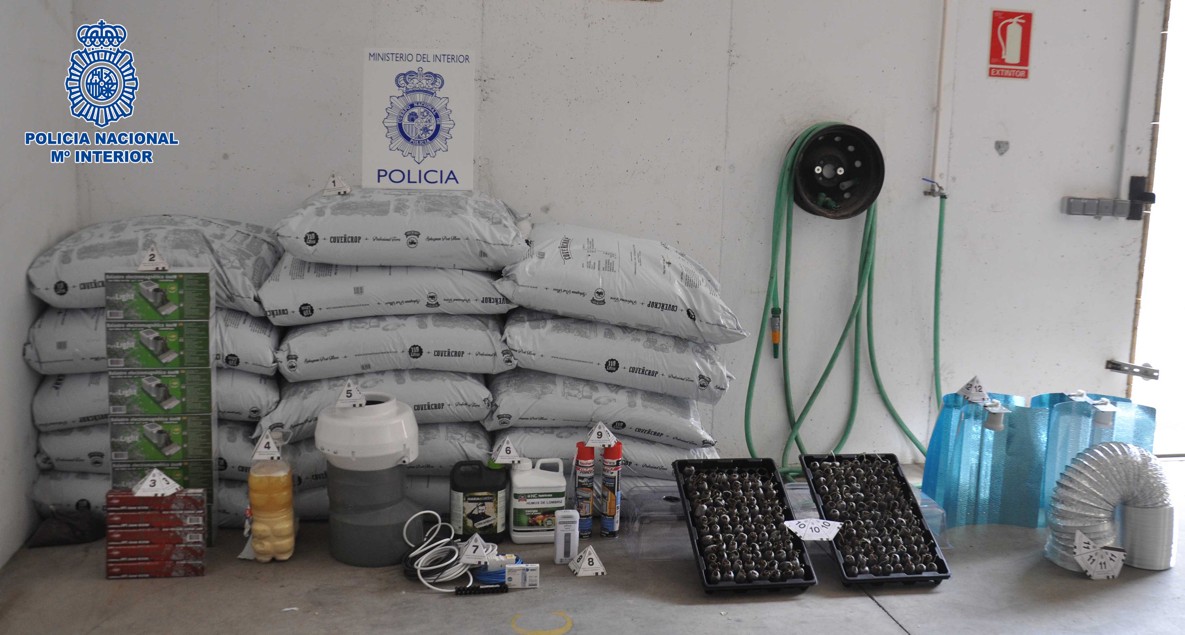 Detienen en Valdepeñas a 3 personas que portaban en su vehículo 200 plantas de marihuana Detienen en Valdepeñas a 3 personas que portaban en su vehículo 200 plantas de marihuana
