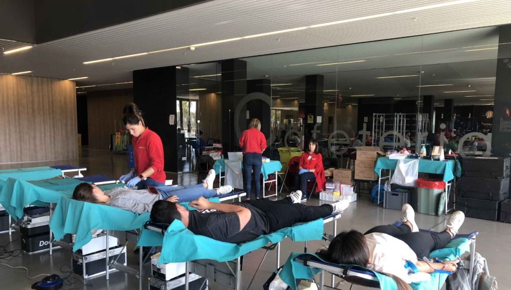 Maratón de donación de sangre 