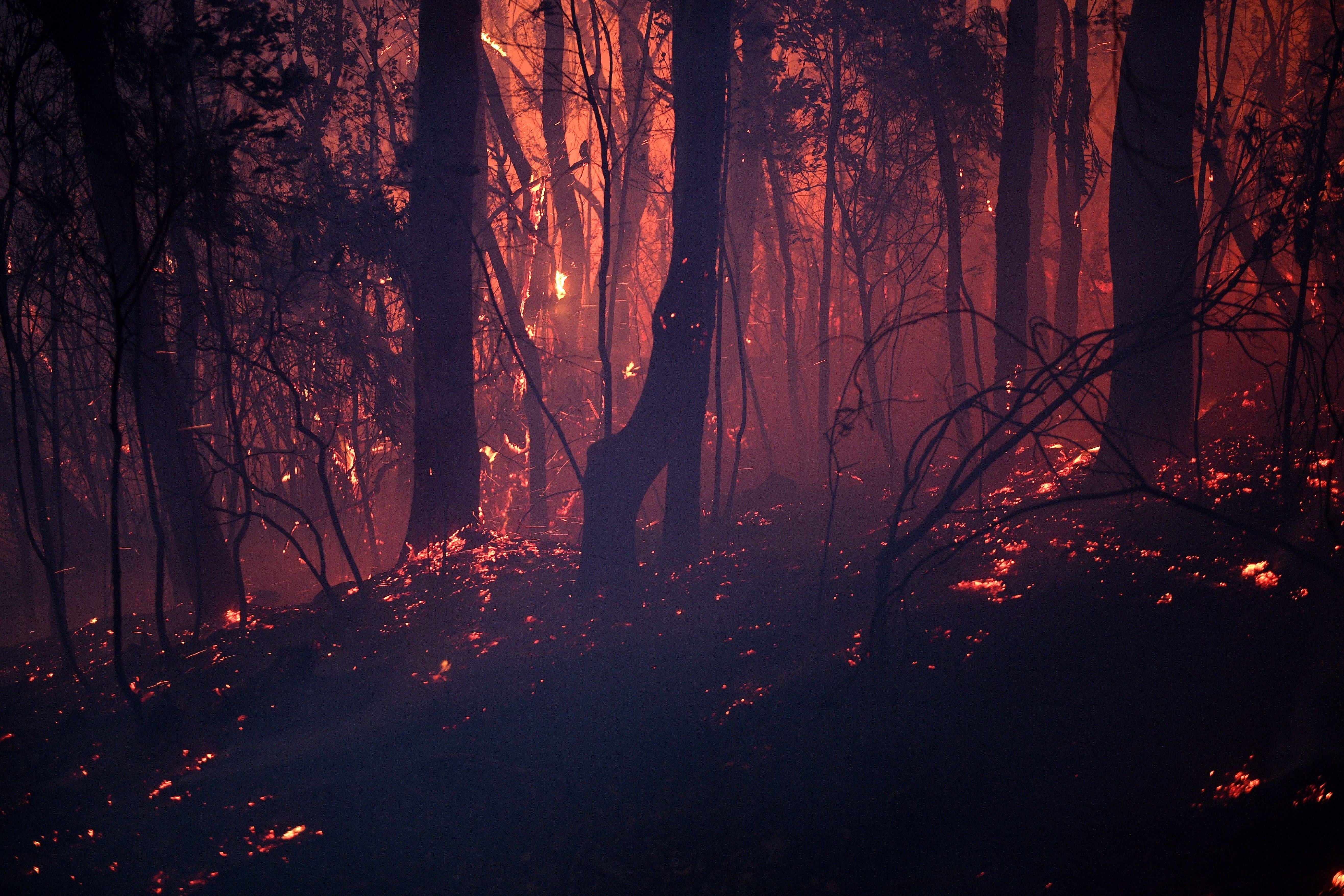 Historia de la Edad del Fuego Historia de la Edad del Fuego