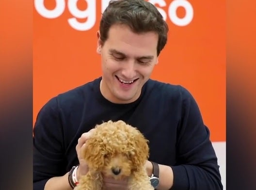 La divertida anécdota mientras votaba Rivera que ha tenido al perro Lucas como protagonista La divertida anécdota mientras votaba Rivera que ha tenido al perro Lucas como protagonista