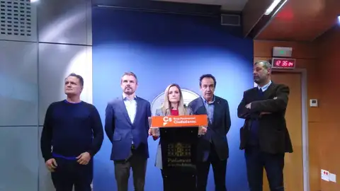 La portavoz adjunta de Cs en el Parlament de Baleares, Patricia Guasp. Representantes de Ciudadanos en Baleares