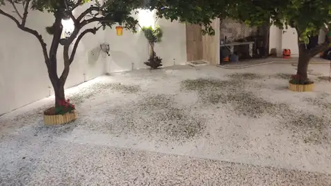 La espectacular granizada que cubrió de blanco gran parte de Palma. La espectacular granizada que cubrió de blanco gran parte de Palma.