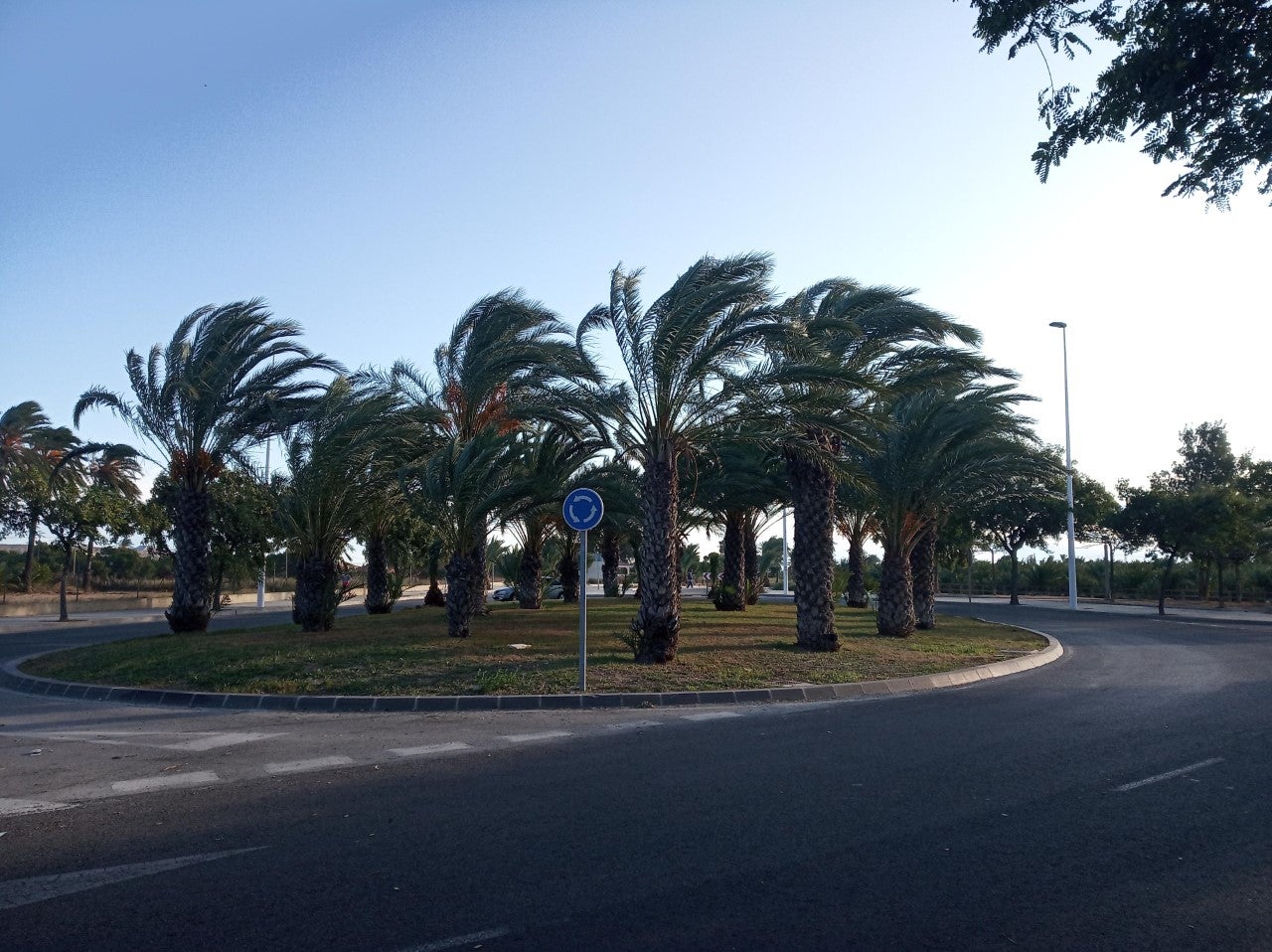 La fuerza del viento comenzará a descender a partir de la tarde en Elche, Crevillent y Santa Pola en un lunes con sol y frío La fuerza del viento comenzará a descender a partir de la tarde en Elche, Crevillent y Santa Pola en un lunes con sol y frío