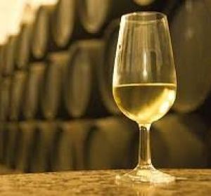 Reunidos en torno al Vino Reunidos en torno al Vino