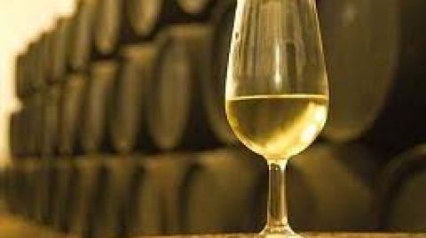 Reunidos en torno al Vino