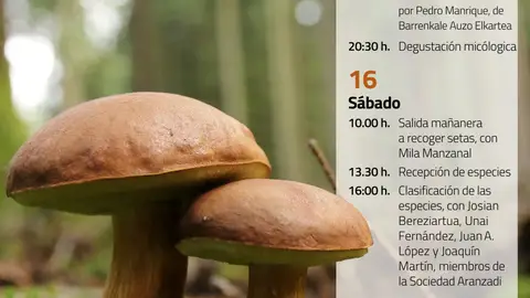 Jornadas micológicas en Iruña de Oca Fin de semana micológico.