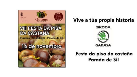 Os veci&ntilde;os do Concello de Parada de Sil celebrar&aacute;n este s&aacute;bado no pobo de Purdeus a oitava edici&oacute;n desta celebraci&oacute;n, cunha recreaci&oacute;n da pisa da casta&ntilde;a, feira de produtos locais e xantar popular.