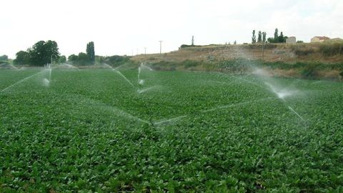 Regad&iacute;o en Ciudad Real