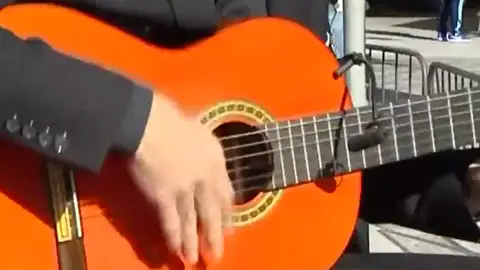 Día Internacional del Flamenco Día Internacional del Flamenco