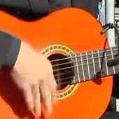 Día Internacional del Flamenco Día Internacional del Flamenco