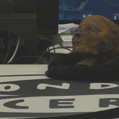 Por primera vez en La rosa de los vientos la invitada es una momia