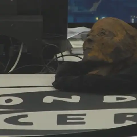 Por primera vez en La rosa de los vientos la invitada es una momia Por primera vez en La rosa de los vientos la invitada es una momia