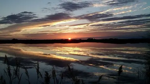 Ecologistas se opone a que se haga un trasvase a las Tablas de Daimiel Ecologistas se opone a que se haga un trasvase a las Tablas de Daimiel