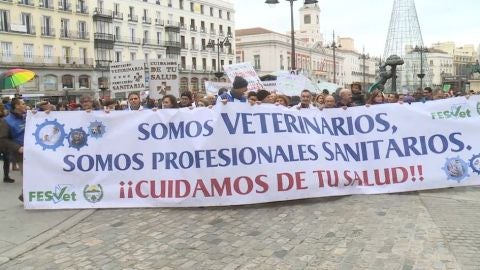 Los veterinarios se manifiestan en Madrid 