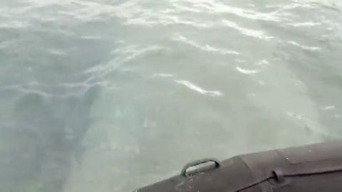 im&aacute;genes narcosubmarino