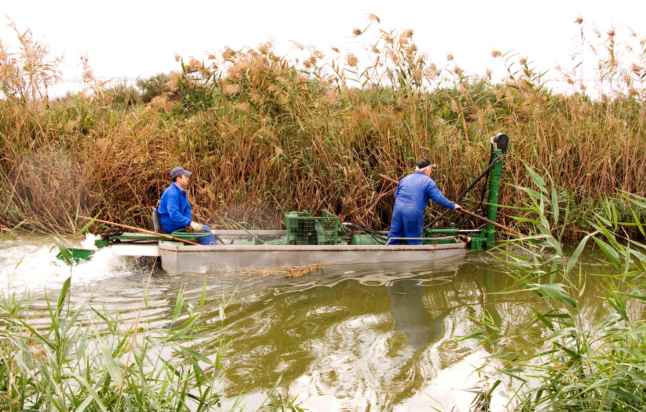La Comunidad de Regantes de Carrizales galardonada en la categoría de Sostenibilidad y Medio Ambiente La Comunidad de Regantes de Carrizales galardonada en la categoría de Sostenibilidad y Medio Ambiente