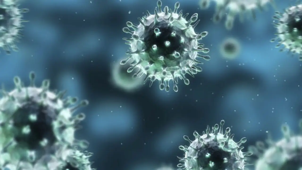 bacterias bacterias