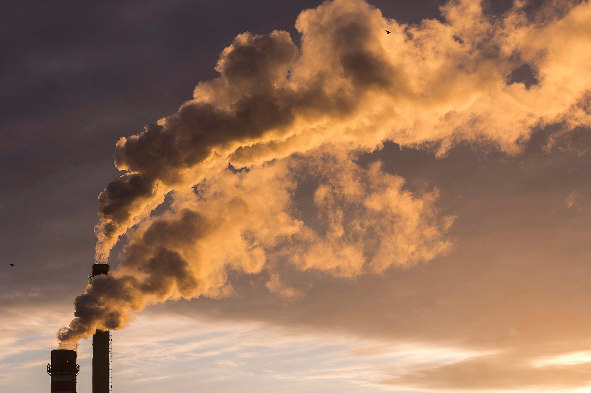 La ONU advierte que la temperatura del planeta aumentará más de 3 grados en los próximos 10 años La ONU advierte que la temperatura del planeta aumentará más de 3 grados en los próximos 10 años