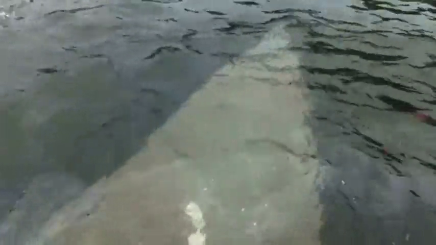 El Ojo Crítico 26/11/2019 El Ojo Crítico 26/11/2019