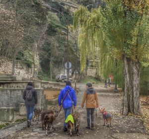 Cuenca Cuenca