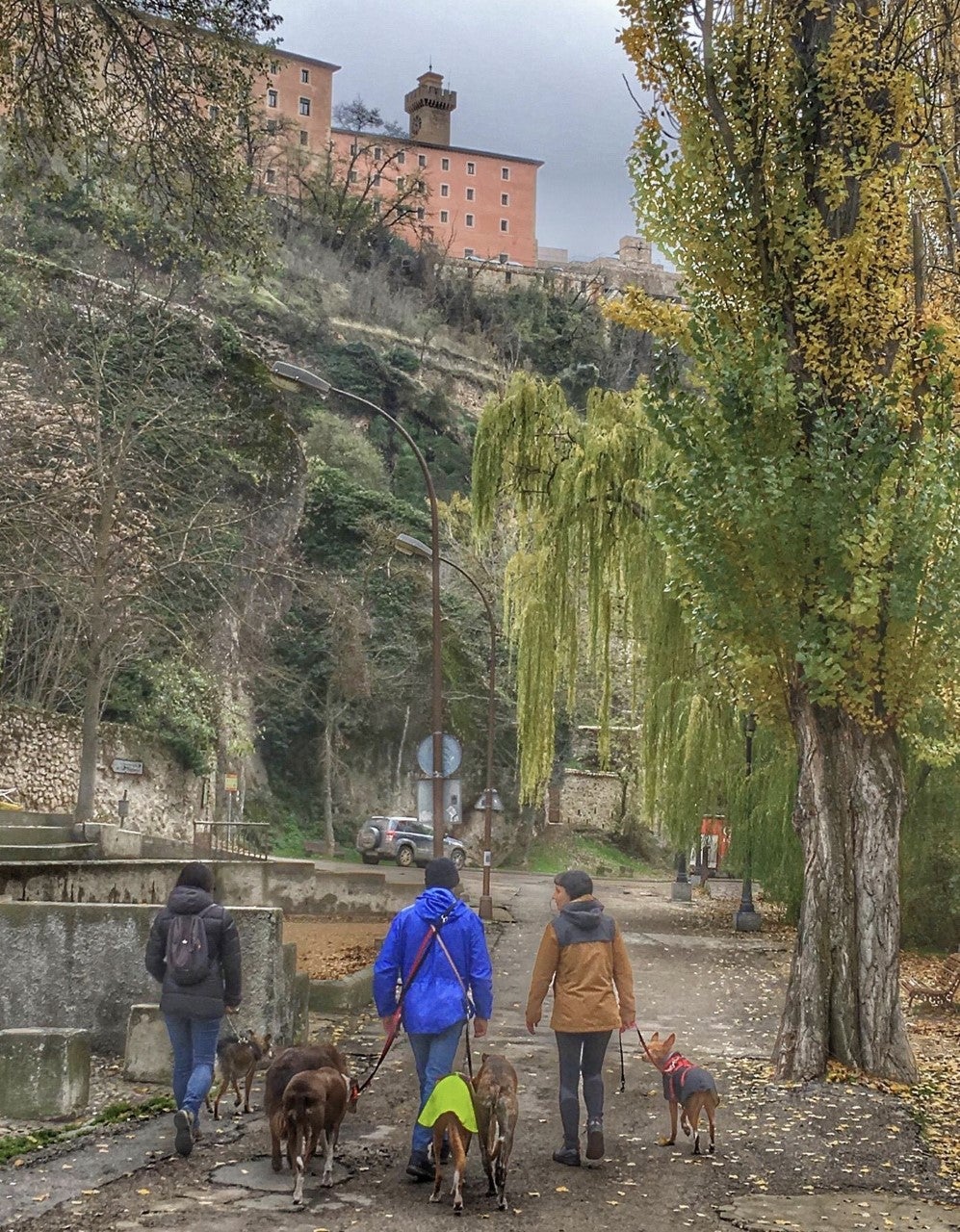 "Cuenca Ahora", y las elecciones "Cuenca Ahora", y las elecciones
