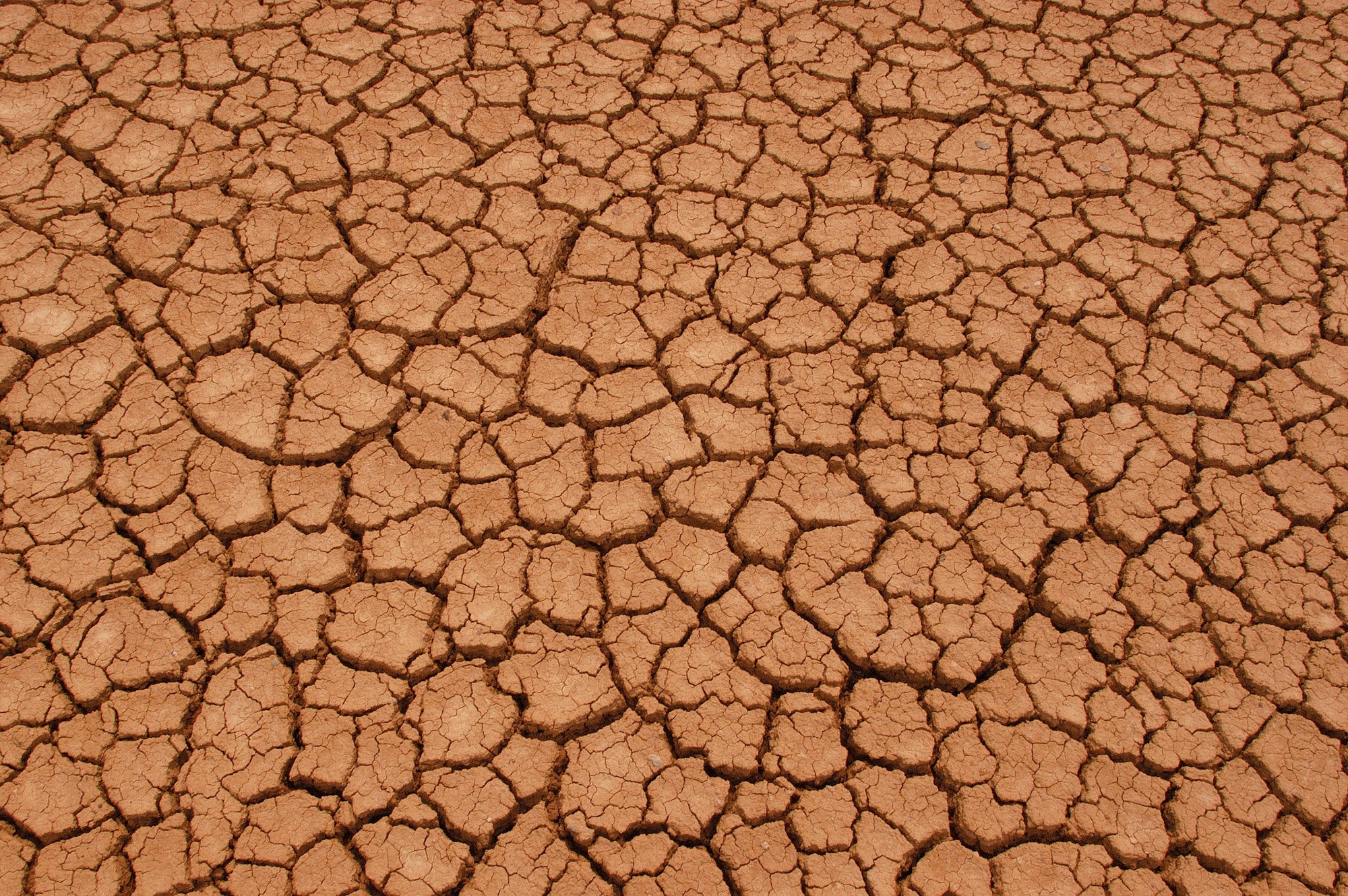 Olas de calor, sequías, incendios… nos afectan más allá de lo que creemos Olas de calor, sequías, incendios… nos afectan más allá de lo que creemos