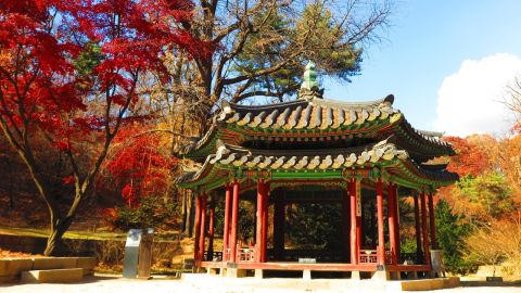 EMBAJADORES DE GRANADA EN SEUL 14