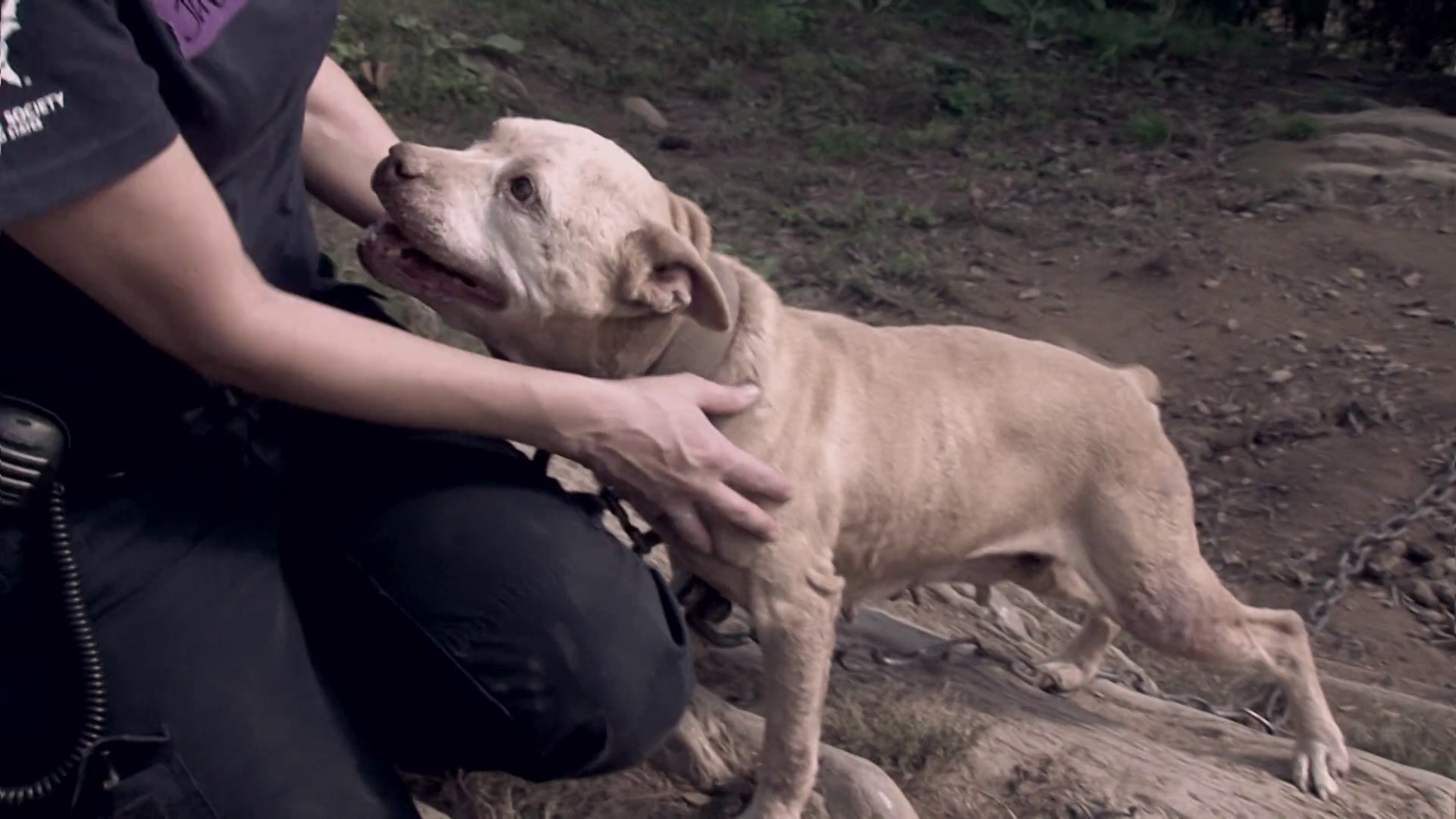 Más de uno Ceuta 08/07/24 Más de uno Ceuta 08/07/24