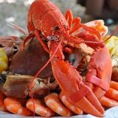 Marisco Marisco