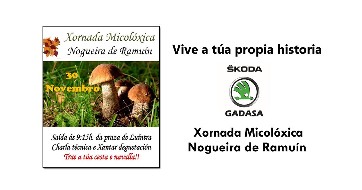 Xornada micolóxica en Nogueira de Ramuín Xornada micolóxica en Nogueira de Ramuín