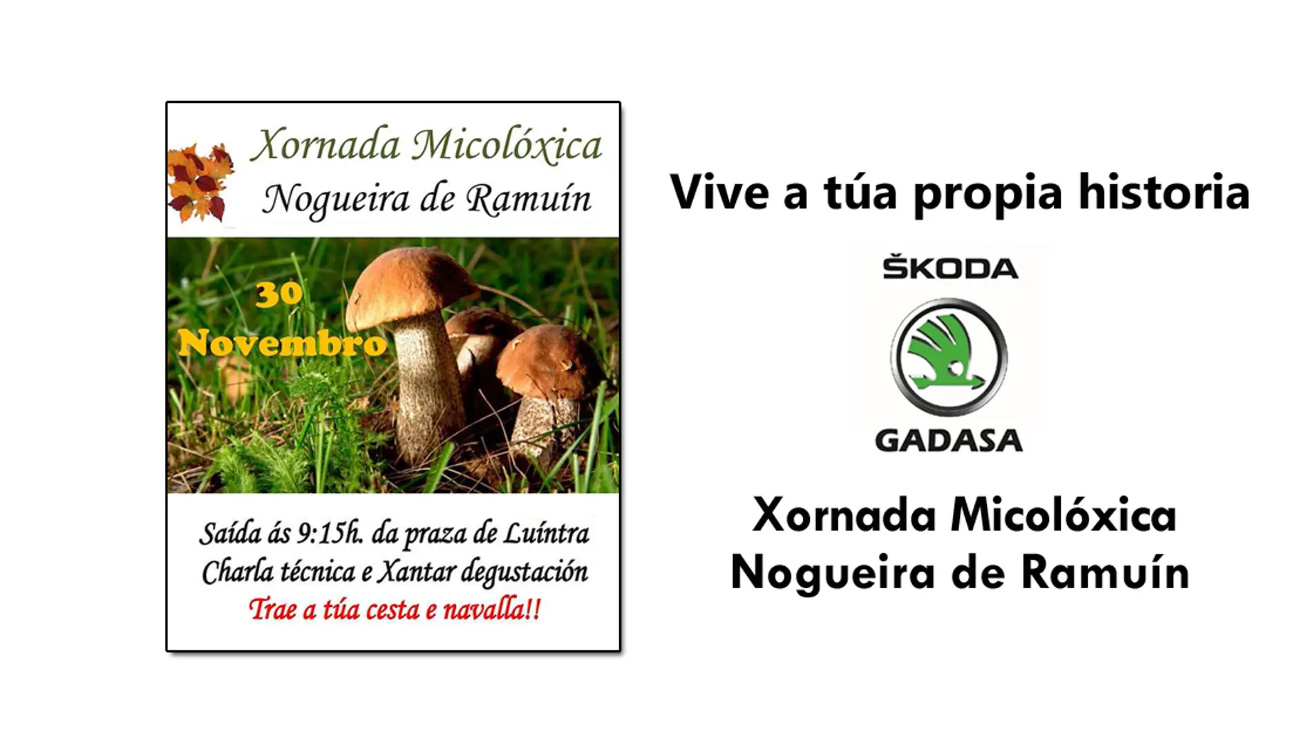 Xornada Micolóxica Nogueira de Ramuín