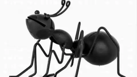 Imagen Premios QUBO Se entregarán el 2 de diciembre en La Bohemia