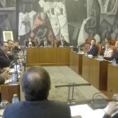 El pleno de la Diputación ha aprobado los presupuestos de 2.020