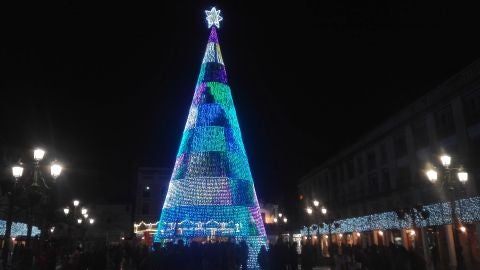 El &aacute;rbol de la Plaza Mayor es el m&aacute;s alto de la regi&oacute;n