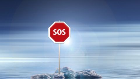 Cambio clim&aacute;tico