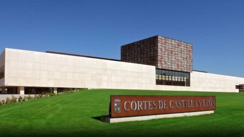 las-cortes-de-castilla-y-leon