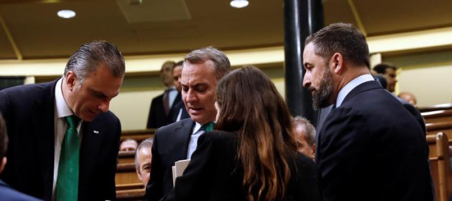 Los diputados de Vox en el Congreso Los diputados de Vox en el Congreso
