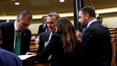 Los diputados de Vox en el Congreso