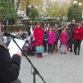"Ciudad Accesible" ha leído un manifiesto en la Plaza del Pilar