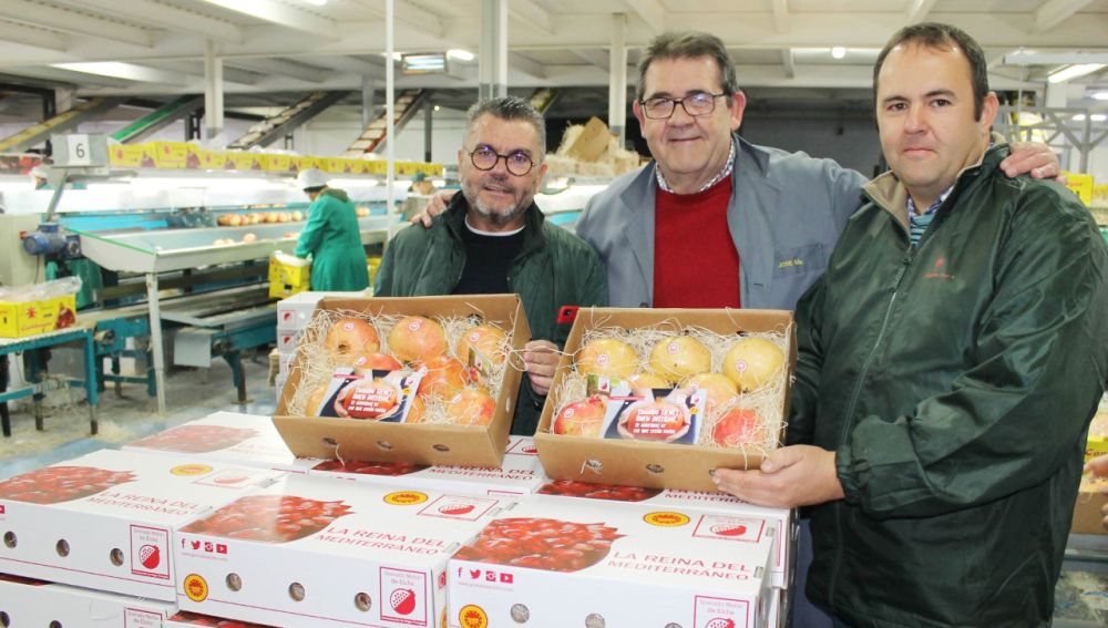 Cajas de granada Mollar de Elche que se envían a valencianos que residen en países de la UE.